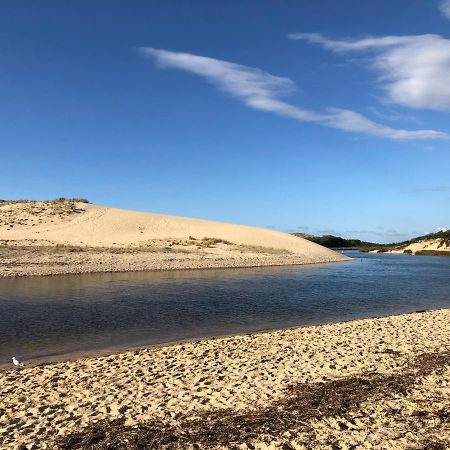 Chaleureux Appartement A 500M De L'Ocean Et 150M Du Golf Moliets-Plage Eksteriør bilde